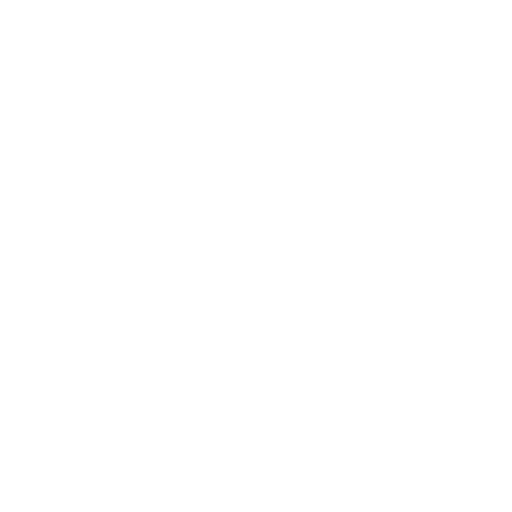 Security and Privacy Fence Icon